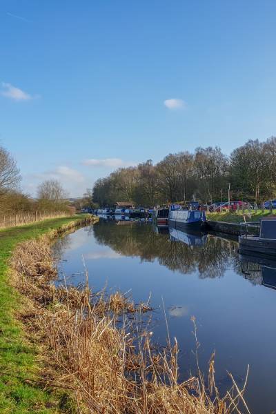 river bank with a path surrounding it